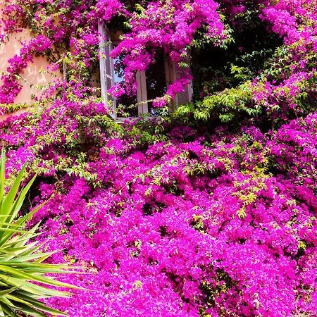 شقة Orti 27 Garden Trastevere - Vacation M&d روما